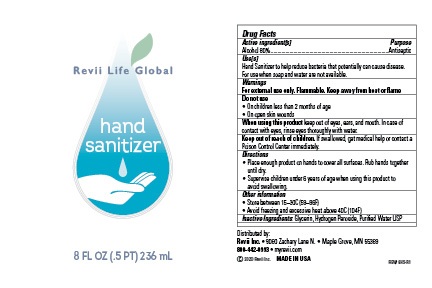 Hand Sanitizer (3 fl oz - Single Bottle) Flyer