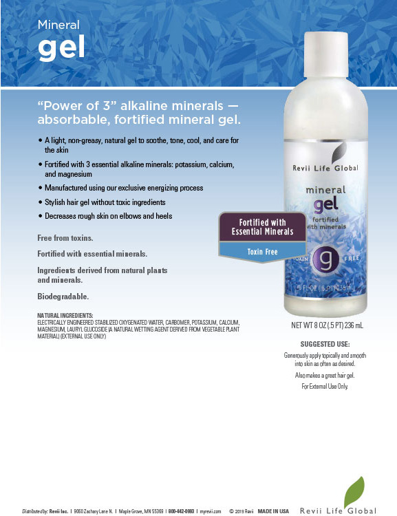 Fortified Mineral Gel (8 fl oz - Single Bottle) Flyer